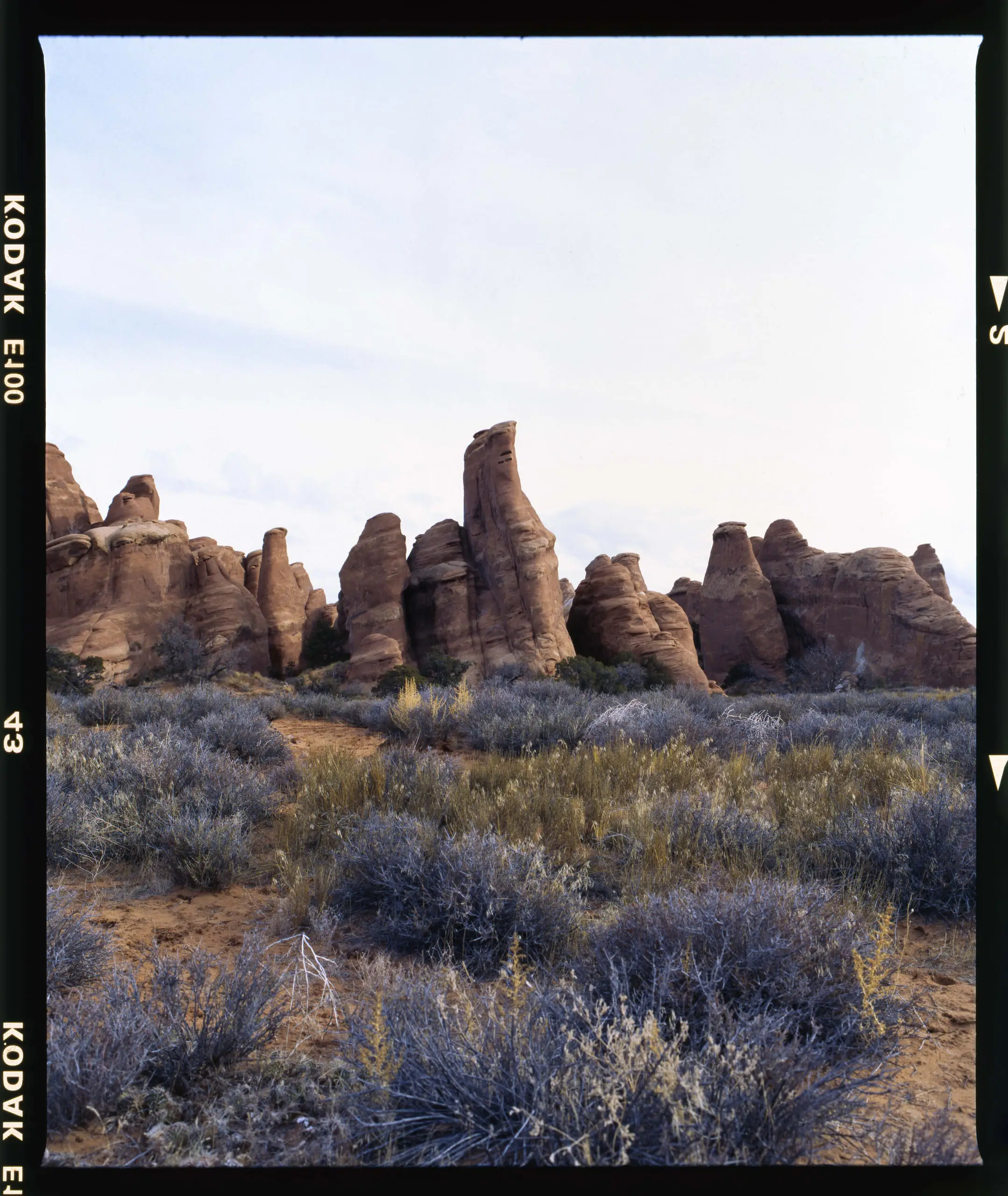 Desert landscape on colour slide film