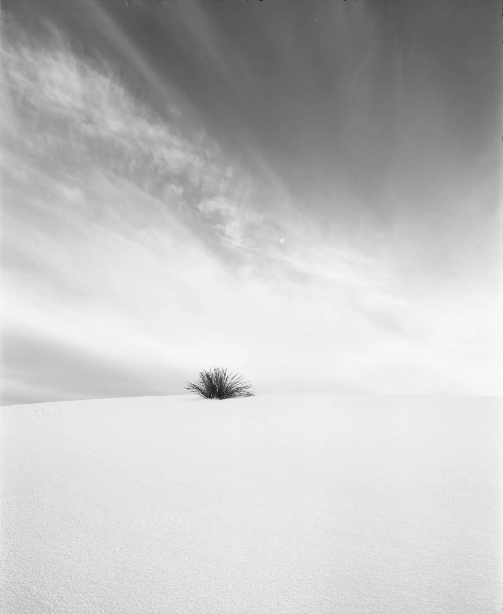 Empty dune field on black and white film