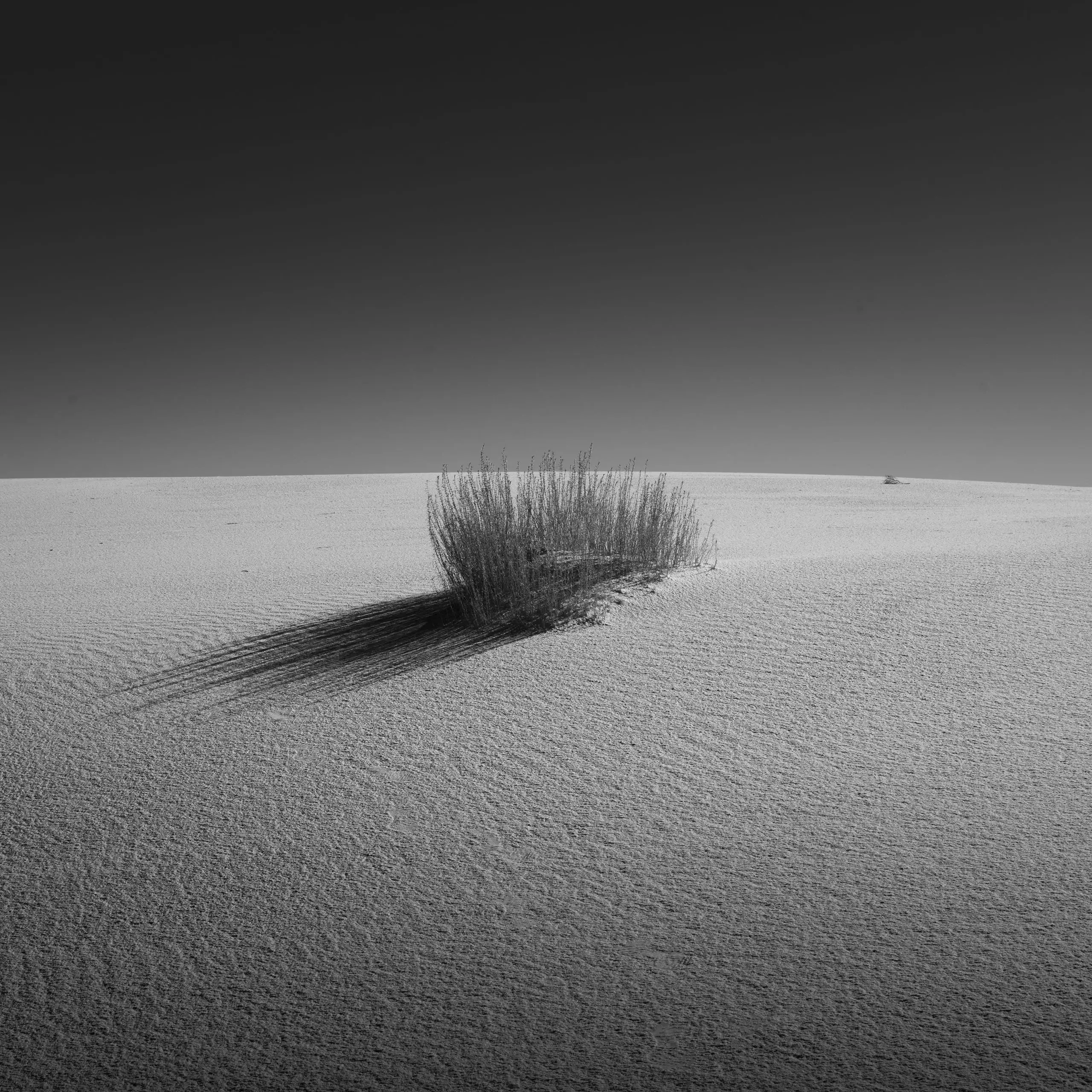 Black and white dune ridge against an empty sky